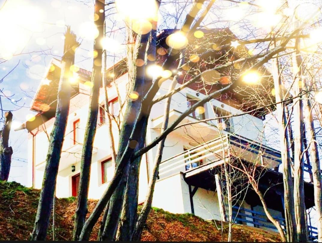 4Temporadas Villa Bran  Exteriör bild