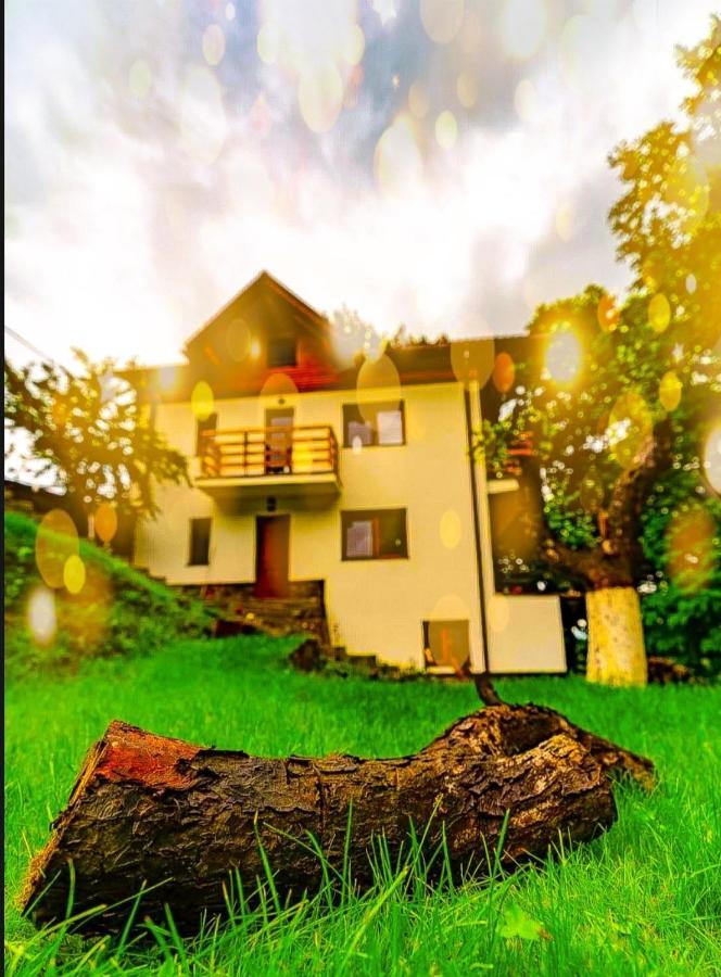4Temporadas Villa Bran  Exteriör bild